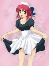 BUY NEW shingetsutan tsukihime - 5449 Premium Anime Print Poster